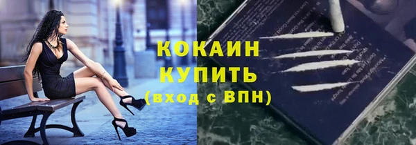 прущие грибы Богданович