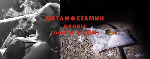 прущие грибы Богданович