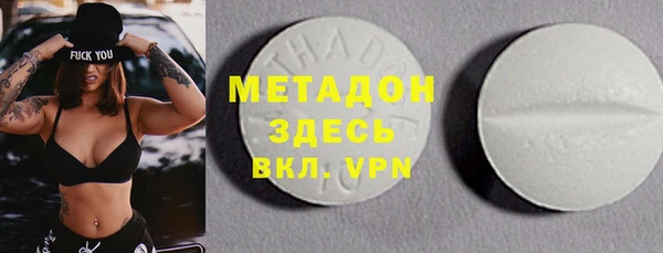 прущие грибы Богданович
