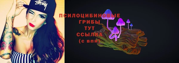 амф Богородицк