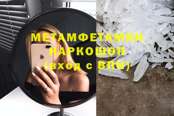 прущие грибы Богданович
