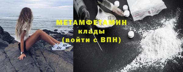 прущие грибы Богданович
