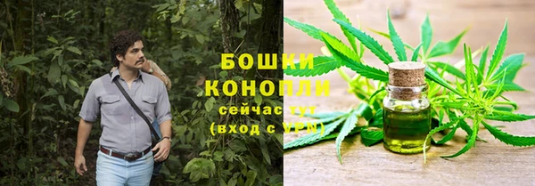 прущие грибы Богданович