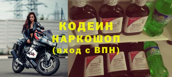 прущие грибы Богданович