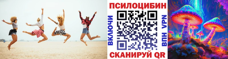 купить закладку  Йошкар-Ола  Псилоцибиновые грибы мухоморы 